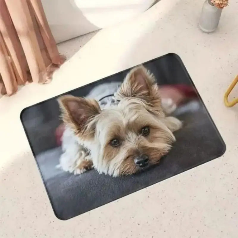 Navak Carpet Exclusive Picks Crystal Velvet Bedroom Living Room Bedside Rug Children Adults Front Door Mat Non-Slip Dirty Resistant