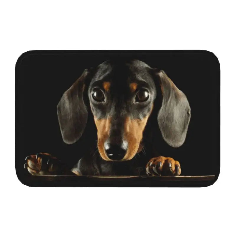 Navak Carpet Custom Cute French Bulldog Doormat Anti-Slip Entrance Kitchen Bathroom Door Floor Mat Garage Rug Carpet Footpad