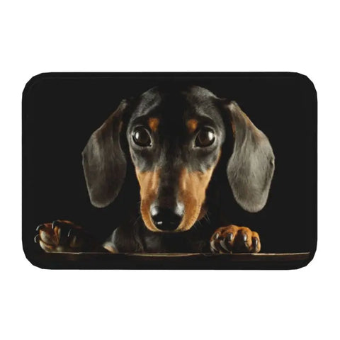 Navak Carpet Custom Cute French Bulldog Doormat Anti-Slip Entrance Kitchen Bathroom Door Floor Mat Garage Rug Carpet Footpad
