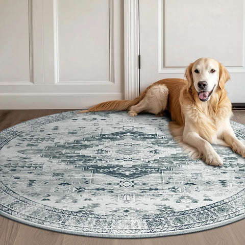 Navak Carpet Area Rug for Living Room Washable Rugs No Pile Carpet for Entryway Bedroom Dinning Room Playroom Vintage Boho Carpet