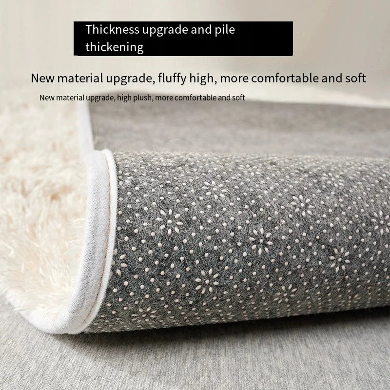 Navak Carpet Furry Room Decoration Super Soft Large Area Full Carpet Floor Mat Modern Winter Thick Tea Table Rugs for Bedroom Living Room Rug