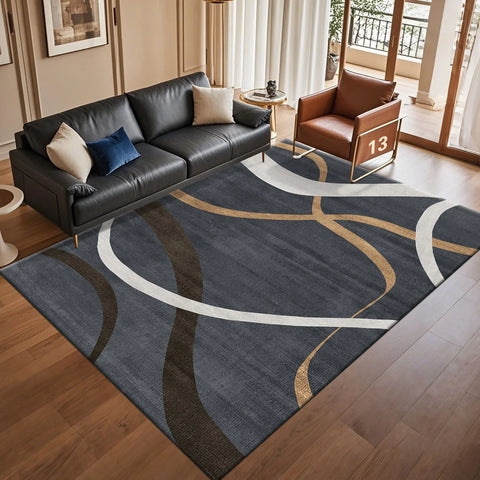 Navak Carpet Modern Light Luxury Abstract Carpet for Living Room Coffee Tables Sofa Rugs Bedroom Soft Floor Mat